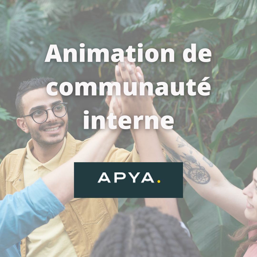 Animation de communauté de freelances internes pour APYA